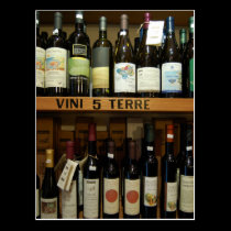 Cinque Terre Wines Italy    www.cindybee.com postcards