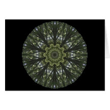 Circle of Elders Cards