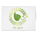 Circle of Life Greeting Card
