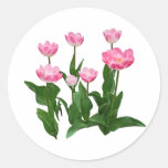 Circle of Pink Tulips Round Sticker