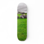 Circles At Carrowmore Skateboards