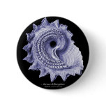 Circular Saw Shell buttons