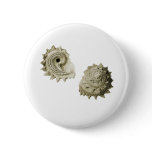 Circular Saw Shell buttons