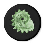 Circular Saw Shell Refrigerator Magnet