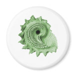 Circular Saw Shell Magnet