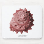 Circular Saw Shell Mouse Pad