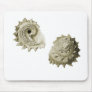 Circular Saw Shell Mousepad