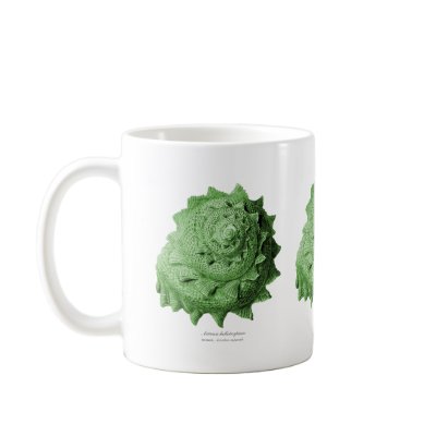 Circular Saw Shell Mug by Ernst_Haeckel