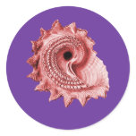 Circular Saw Shell Sticker