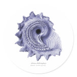 Circular Saw Shell Round Stickers
