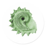 Circular Saw Shell stickers