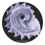 Circular Saw Shell Sticker