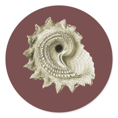 Circular Saw Shell Sticker by Ernst_Haeckel