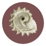 Circular Saw Shell stickers