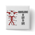 Circulation Is Key To Life (Circle Of Willis)