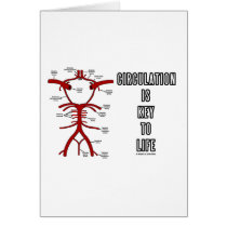 Circulation Is Key To Life (Circle Of Willis)