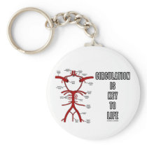 Circulation Is Key To Life (Circle Of Willis)