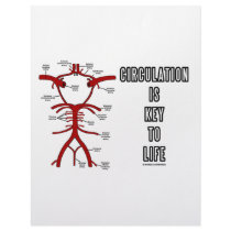 Circulation Is Key To Life (Circle Of Willis)