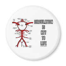 Circulation Is Key To Life (Circle Of Willis)