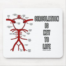 Circulation Is Key To Life (Circle Of Willis)