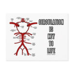Circulation Is Key To Life (Circle Of Willis) Post Cards