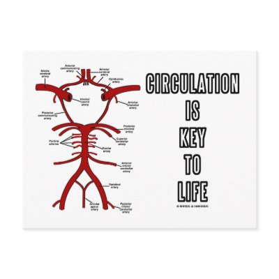 Circulation Is Key To Life (Circle Of Willis) by wordsunwords