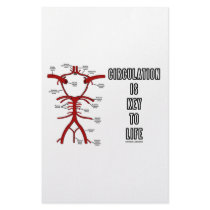 Circulation Is Key To Life (Circle Of Willis)