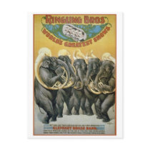 Circus Elephants Brass Band