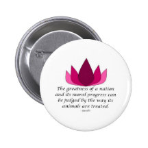Citation de Gandhi Pin's