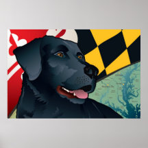 Citizen Black Lab Poster