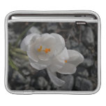 CITR Crocus in the Rocks iPad Sleeve