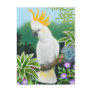 Citron Cockatoo Postcard