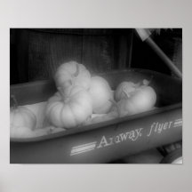 Citrouilles de chute dans la copie blanche de phot poster