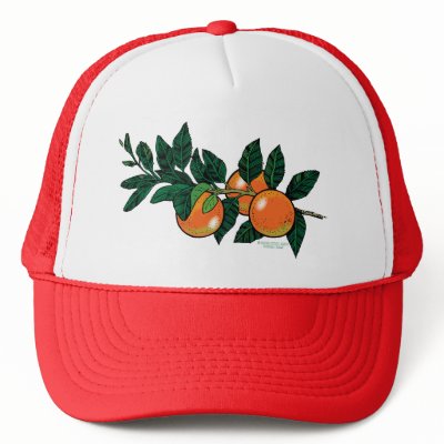 citrus branch cap trucker hats by Duncan_Reed