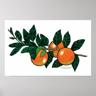 citrus branch poster by Duncan_Reed