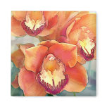 Citrus Coloured Cymbidiums