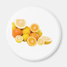 citrus fruit refrigerator magnet