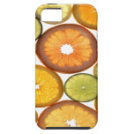 Citrus Fruit Slices iPhone 5 case