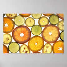 Citrus Fruits Poster