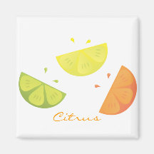 Citrus Juice Refrigerator Magnet