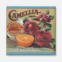 Citrus Label Magnets