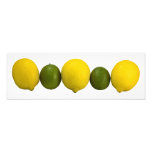 Citrus Row Photo
