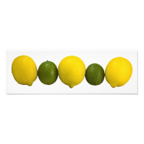 Citrus Row Photo