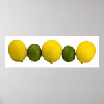 Citrus Row Poster