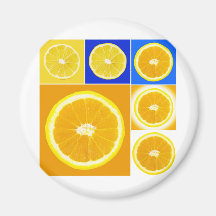 citrus slice refrigerator magnet