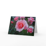 Citrus Tease Greeting Card