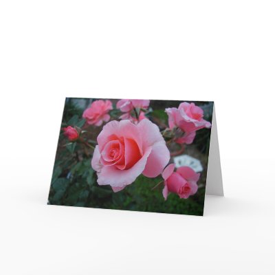 Citrus Tease Greeting Card by JirelCahil