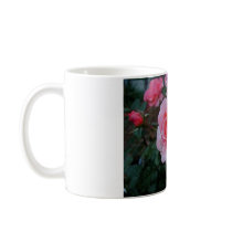 Citrus Tease Mugs