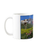 City Azazga mugs
