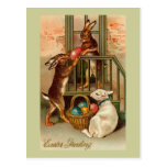 City Easter Bunnies With Lamb postcards
